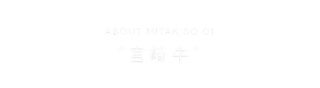 ABOUT MITAKISO 01